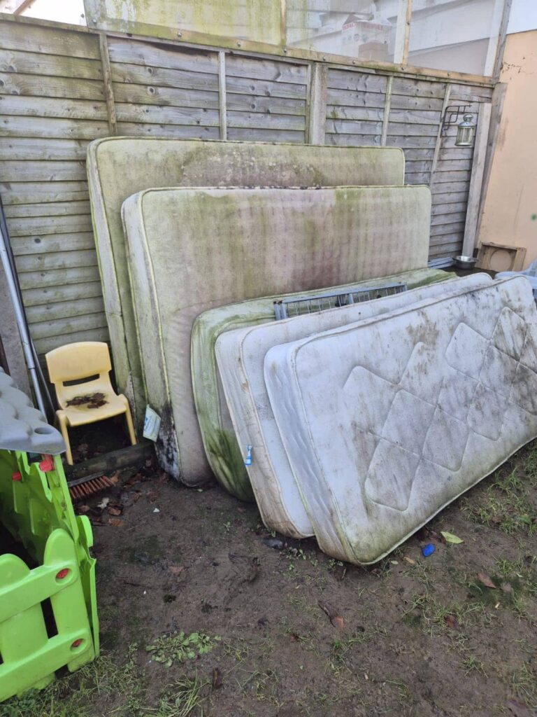 junk movers dublin 1