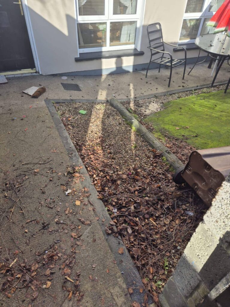 junk movers dublin 4