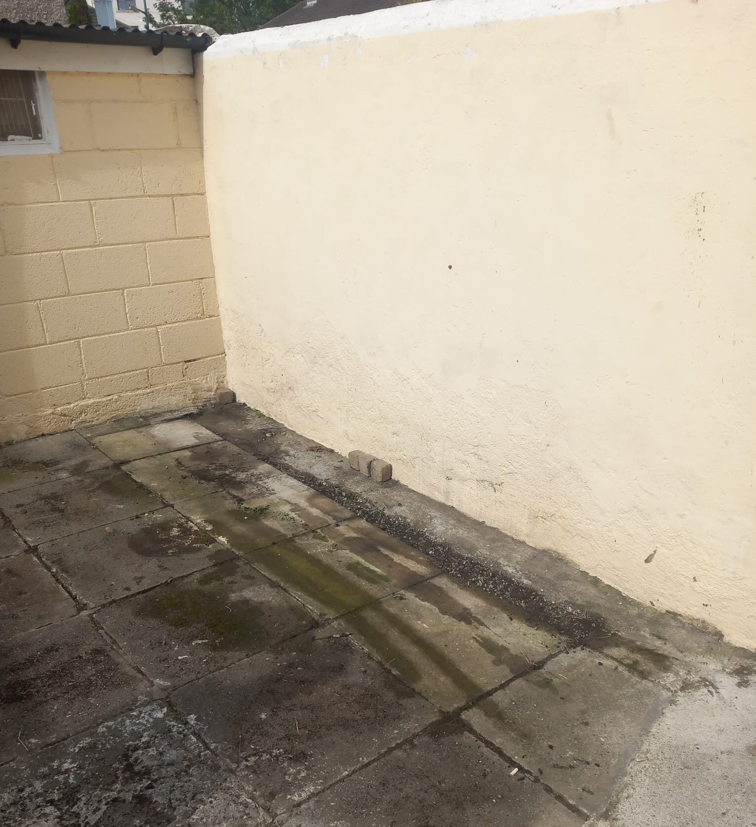 junk movers dublin replacement 2