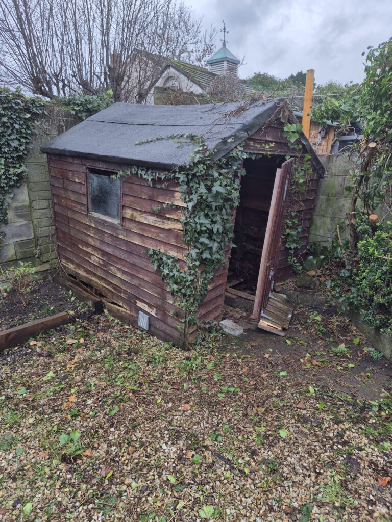 junkRemovalsmorepictures3