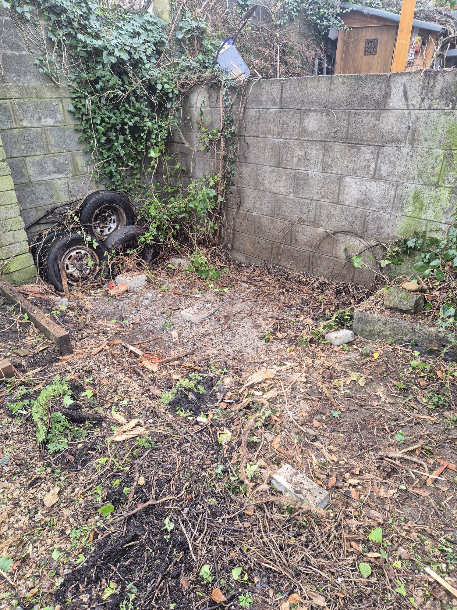 junkRemovalsmorepictures4